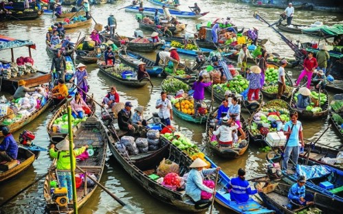 Mekong Delta Discovery