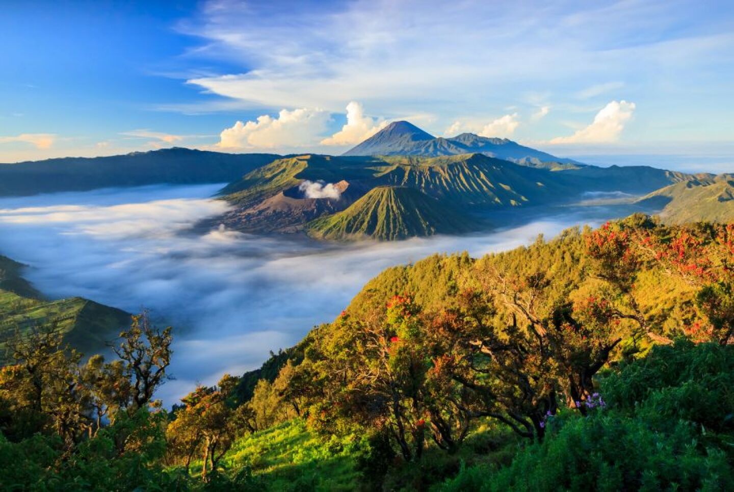 Beneath the Ash and Sky: A Journey Through Bromo Tengger Semeru’s Volcanic Majesty