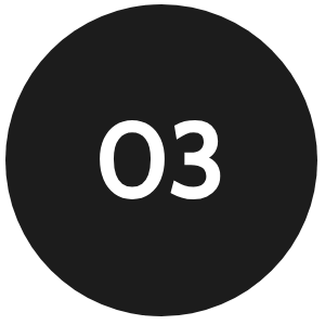 Icon 3