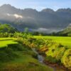 Mai-chau-103