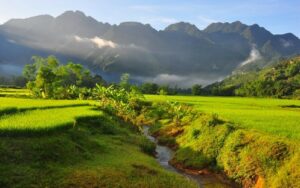 Mai-chau-103