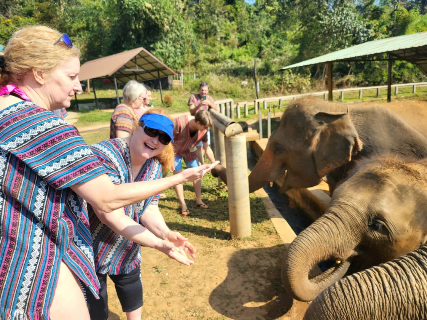 One day at The Kingdom of Gentle Giants in ChiangMai
