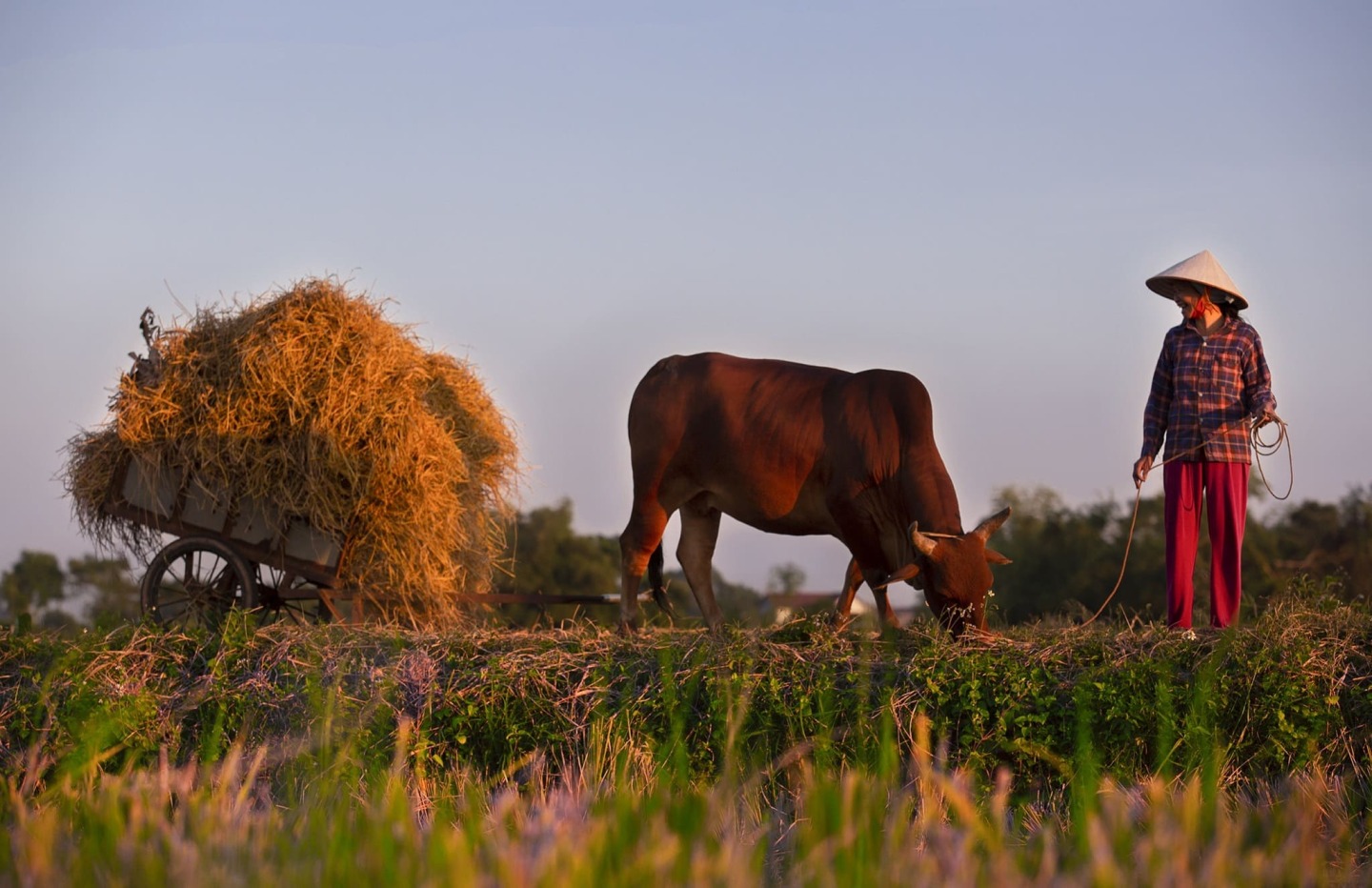 Yearning for Peace and Simplicity? What will be Your Perfect Short Trip Destination?