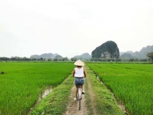 Tam Coc Xe Dap