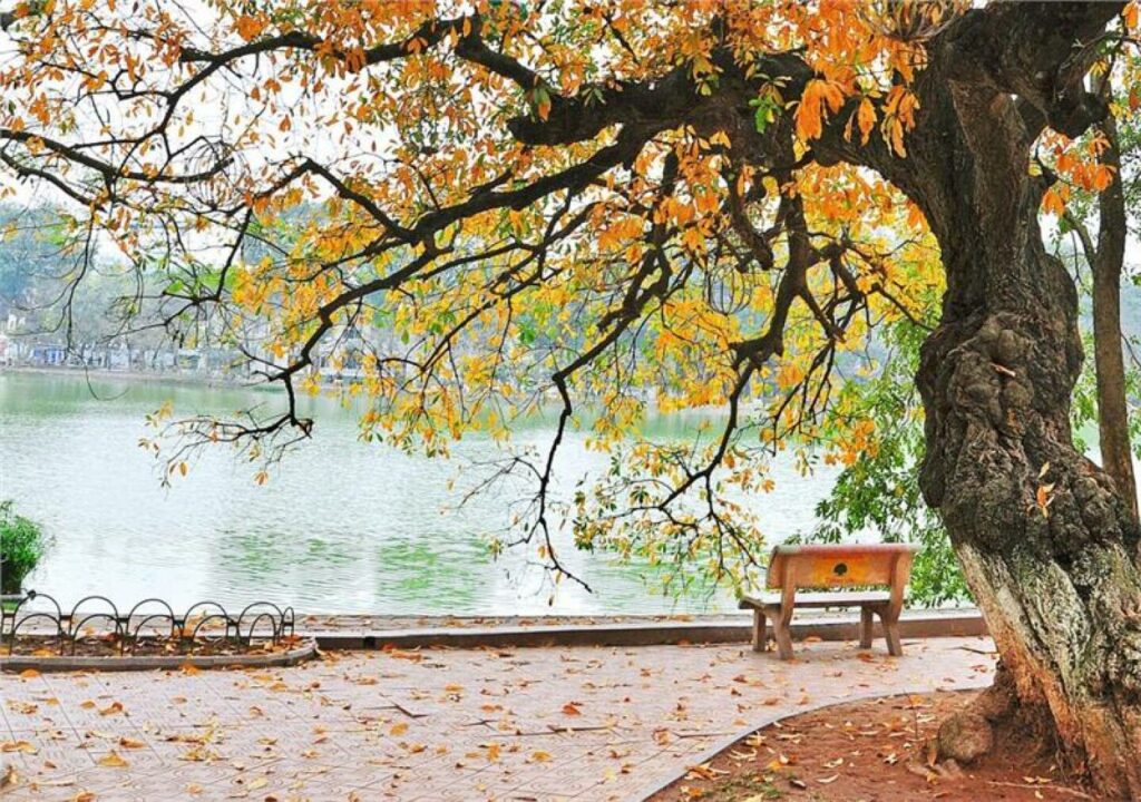 Top-3-destinations-to-explore-in-vietnam-during-autumn-zgsqf3m9-detail