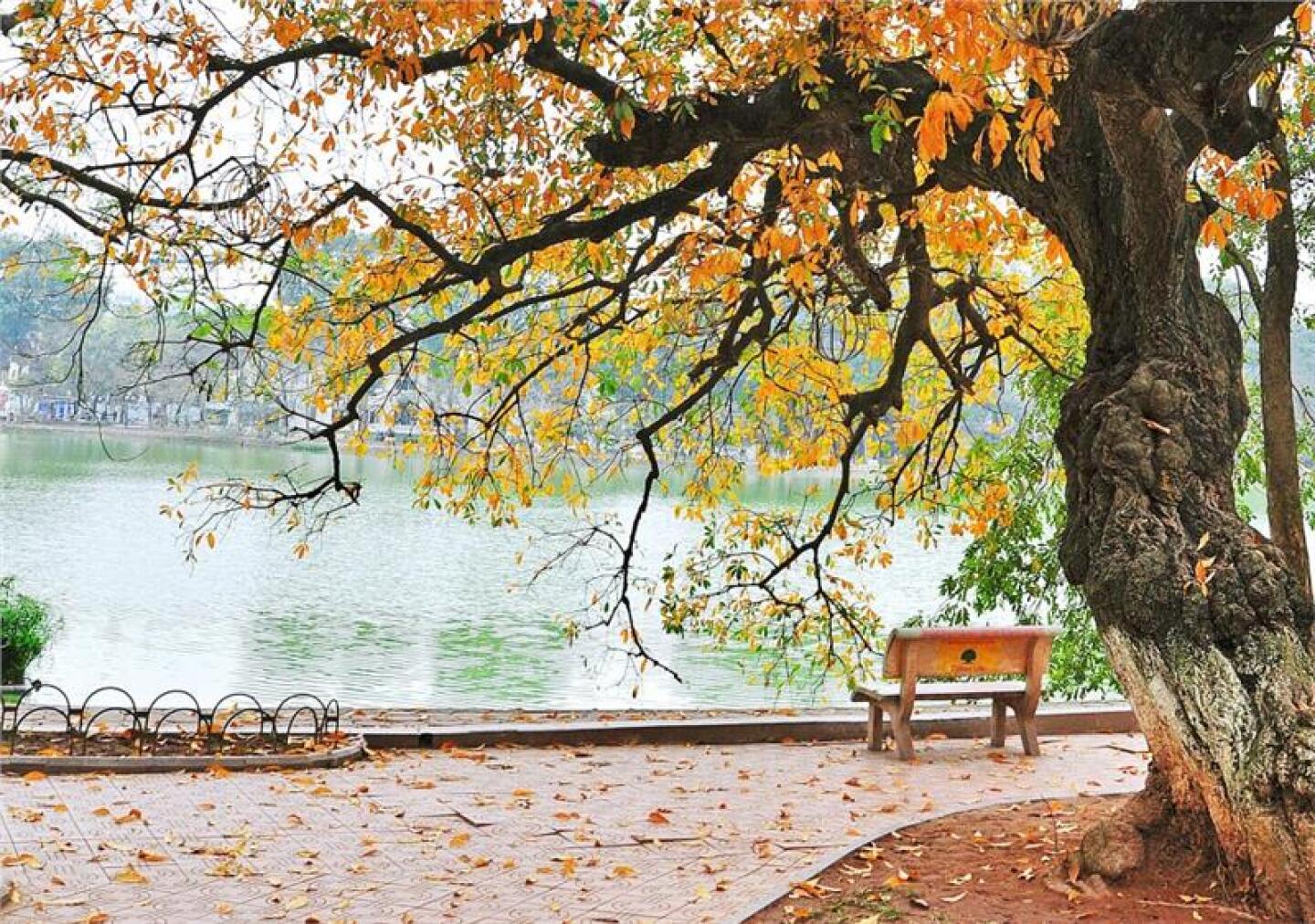 Top-3-destinations-to-explore-in-vietnam-during-autumn-zgsqf3m9-detail